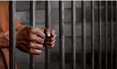Female Student Sentenced to Six Years in Prison for Phone Theft in Borno