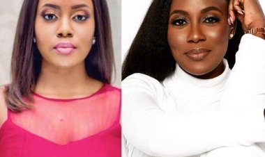 Wendy Okolo: Pioneering NASA Engineer and First Black Woman to Attain Ph.D. in Aerospace Engineering from the University of Texas