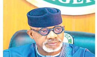 Ogun State Governor Advocates for More Private Universities