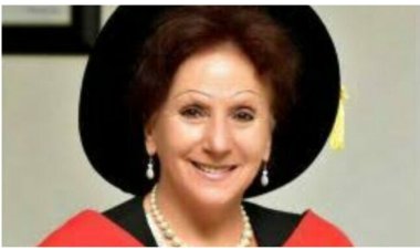 Afe Babalola University Ado-Ekiti (ABUAD) Vice Chancellor Emphasizes Global Competence Commitment