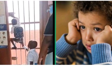 Spiderman Prison Break" - Video of Child's Escape Attempt from School Amuses Online Users