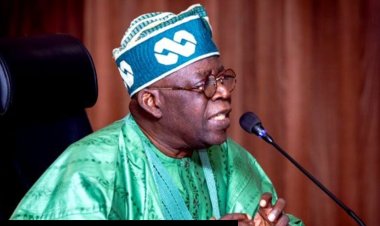 Student Loan Scheme to Include Skill Acquisition Programme — Tinubu