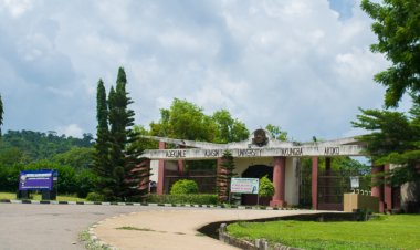 Ondo Varsity Workers Protest Non-Payment of N35,000 Award