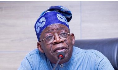 NYCN Commends Tinubu's Anti-Corruption Efforts