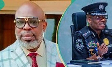 Abia Police Confirms Kidnap of Abia Varsity DVC, Emezue
