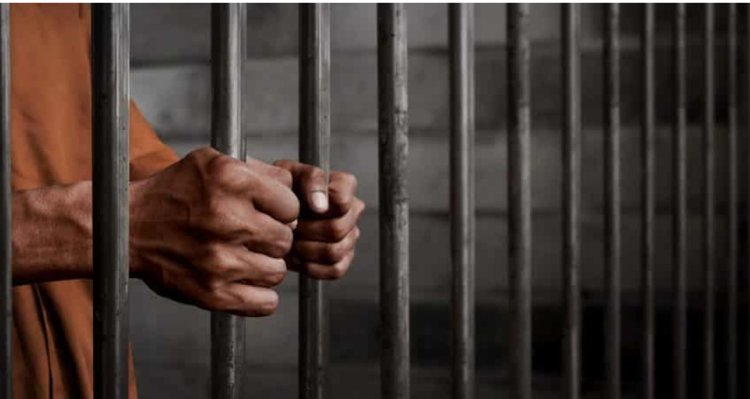 Female Student Sentenced to Six Years in Prison for Phone Theft in Borno