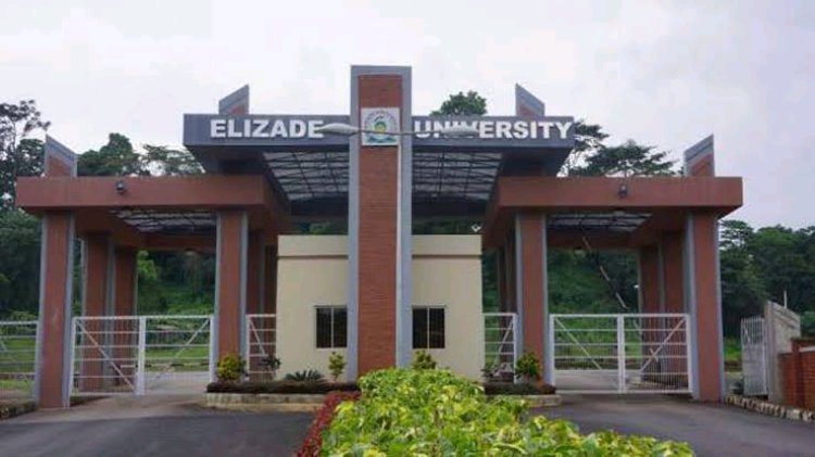 Elizade University's New Vice-Chancellor Advocates Collaborative Approach for Educational Development