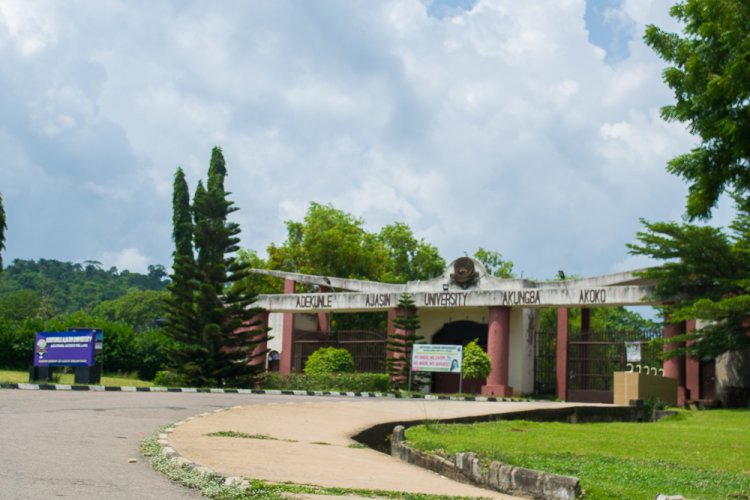 Ondo Varsity Workers Protest Non-Payment of N35,000 Award