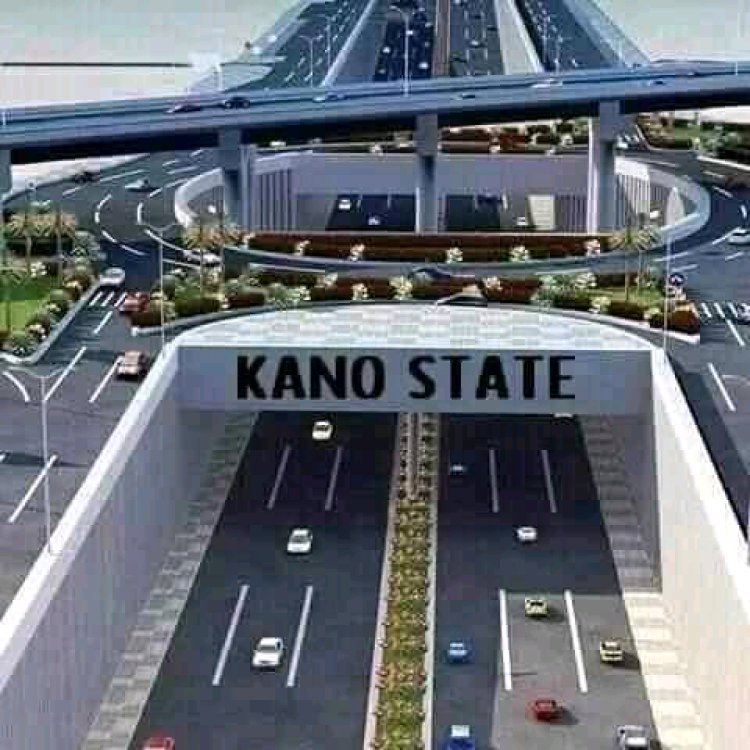 Kano State Government Initiates Plans to Attract Private Investors to Education Sector