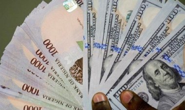 Nigerian Students Abroad Struggle Amid Naira Free Fall