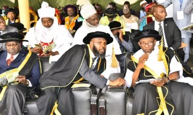 ABU’s IAR releases improved crop cultivars for Nigerian farmers