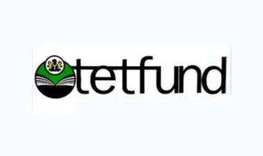 Katsina Governor Seeks TETFund's Assistance to Combat Insecurity in Tertiary Institutions