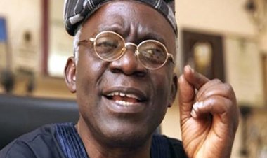 Femi Falana Petitions Court to Enforce Free Basic Education, Seeks Compliance from Government