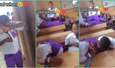 Schoolboy Surprises Classmate with Valentine's Day Flower