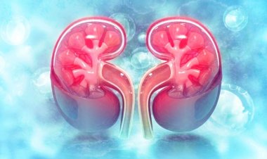 UNIJOS and JUTH Formalize Partnership for Transplant Center Operations