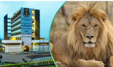 Another OAU Staff Injured by Lion, NANTSU Shares Details