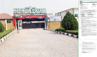 Ogun Shuts College For Running Illegal Nursing Programme