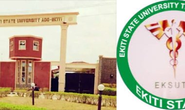 NMA and Health Workers in Ekiti State University Teaching Hospital Sound Alarm Over Security Operatives’ Attacks and Assaults