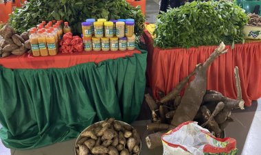 Clifford University Hosts 4th Agricultural Science Exhibition