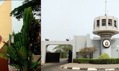 University of Ibadan and University of Lagos Secure Spots Among Africa’s Top 10 Universities