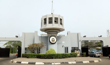 University of Ibadan (UI) Professor Urges Government to Boost Health Budget