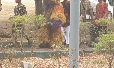 Unprecedented Cultural Parade as Masquerade Storms Abia State University Campus