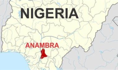Anambra School Sports Festival Reignites Passion for Athletics Among Youth