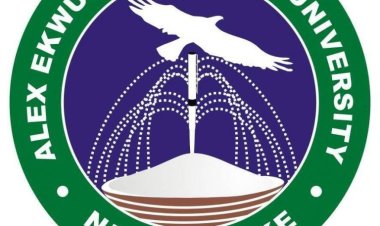 AE-FUNAI 300L Student's Suicide Triggers Outcry Over Academic Pressure and Alleged Corruption Among Lecturers