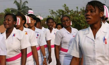 Nurses Make Fresh Demands Amid Certificate Verification Review