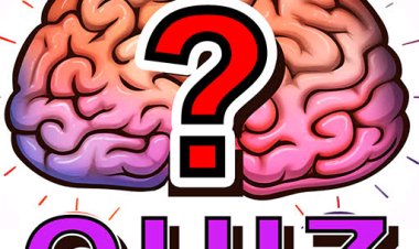 Crack the Code: Can You Unravel the Professor's Mystery Phone Number?