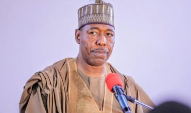 Oronsaye Report: Zulum Urges FG Against Merging Army University with NDA