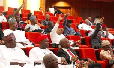 Senate Approves Second Reading of Bill to Establish Federal University of Technology, Ilaro