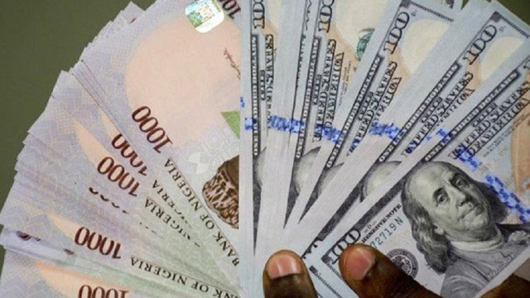 Nigerian Students Abroad Struggle Amid Naira Free Fall