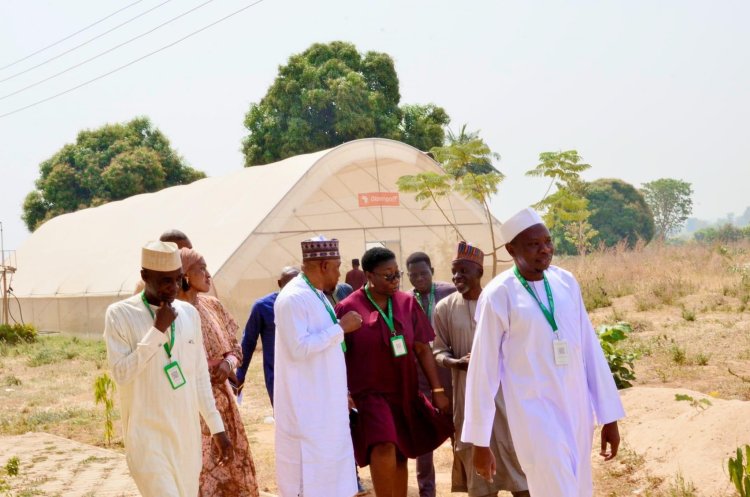 Fulafia VC commends Agric faculty on Green house unveiling