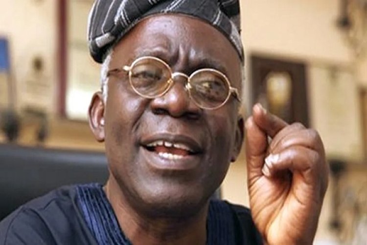 Femi Falana Petitions Court to Enforce Free Basic Education, Seeks Compliance from Government