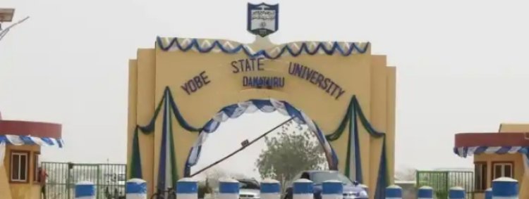 Yobe State University Extends Sympathy Message