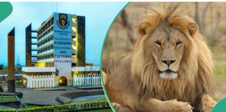 Another OAU Staff Injured by Lion, NANTSU Shares Details