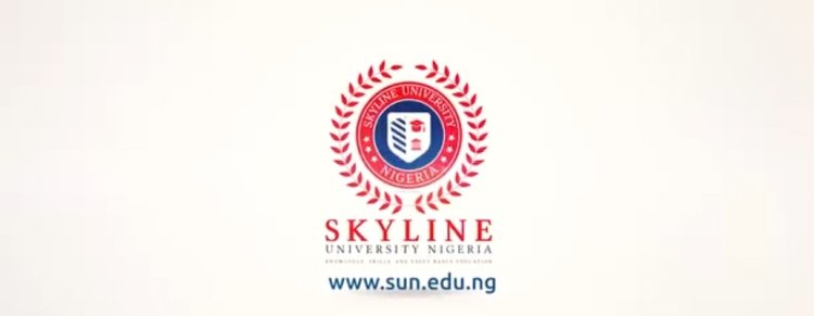 Skyline University Nigeria Advices On The Impact of Influencer Marketing on Brand Engagement