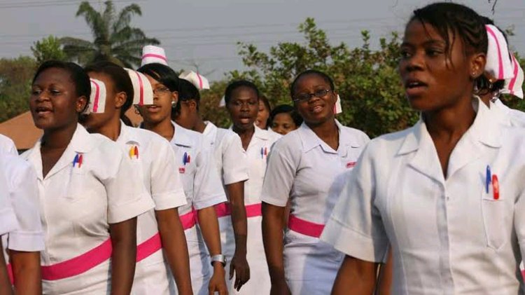 Nurses Make Fresh Demands Amid Certificate Verification Review