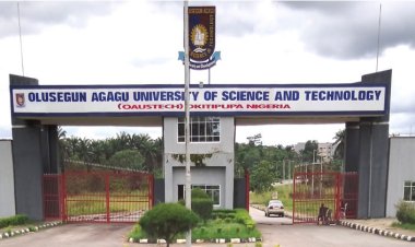 Ondo Varsity Workers Protest Unpaid N35,000 Wage Award at Convocation