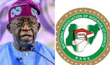 NANS Calls for Student Representation in Governance