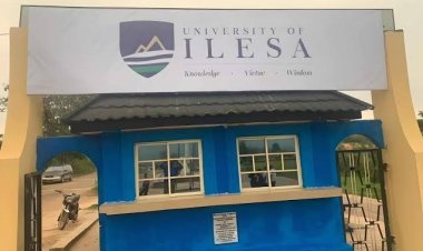 University of Ilesa Prepares for Operations at New Oil Processing Factory