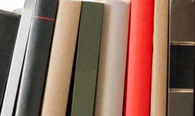 Nigerian Author Dayo Olomu Honored with Honorary Doctorate by London University