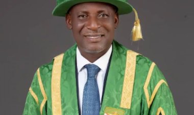 UNN Deputy Vice Chancellor Recommends Zobo Leaves as Antihypertensive Remedy