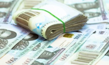 Nasarawa Governor's Aide Donates N5 Million to 500 Students Supporters