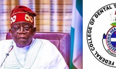 President Tinubu Converts Federal College of Dental Technology to University