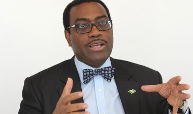Akinwumi Adesina Highlights Low University Enrollment Rate in Nigeria