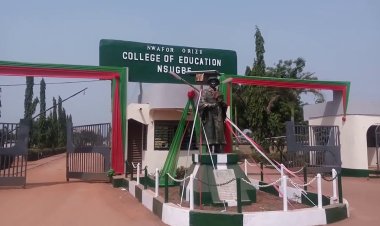 Nwafor Orizu College of Education Outgoing Provost Congratulates Dr. Ogugua Patricia Anwuluorah on Provost Appointment