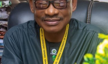 MOUAU Vice Chancellor Prof. Maduebibisi Iwe Celebrates Remarkable Three-Year Anniversary