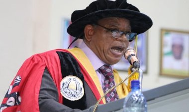UNILORIN Prof. Aremu Suggests Herbal Medicine Units in Major Hospitals
